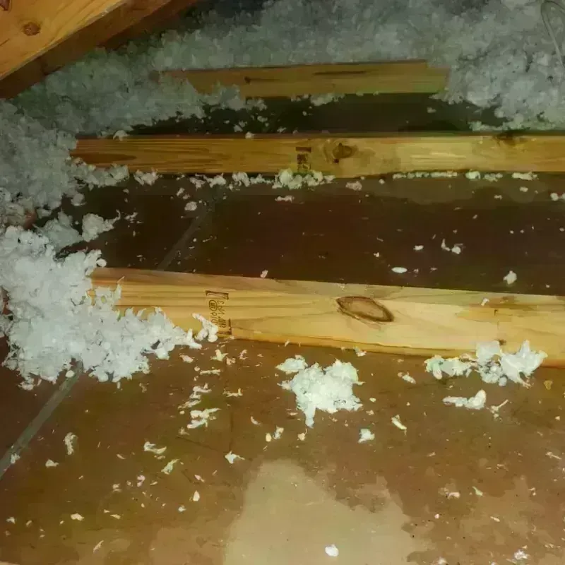 Attic Water Damage in Hallsville, MO