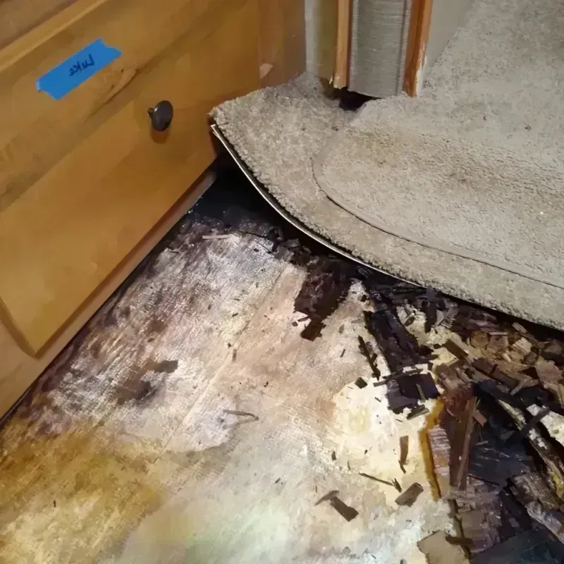 Best Wood Floor Water Damage Service in Hallsville, MO